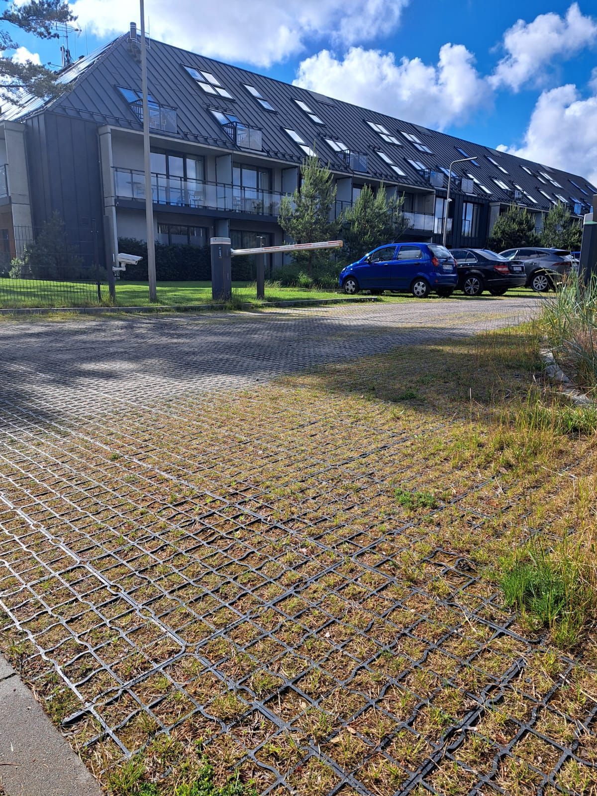 Eco R40 Pro - Set 60m2 - Rejilla de césped para pavimento de losa de césped tipo panal
