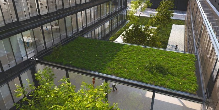 Eco Grid R30 - Conjunto de 82,7m2 de rejilla de césped para refuerzo de taludes y terraplenes